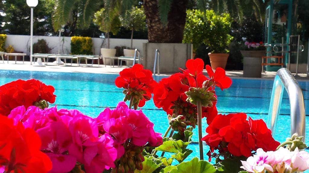 Hotel Cormoran Κατόλικα Εξωτερικό φωτογραφία